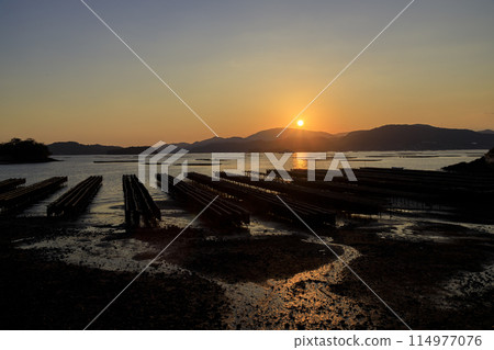 夕陽西下,瀨戶內海一座島嶼的陰影下,島嶼上排列著牡蠣架 夕陽西下,瀨戶內海一座島嶼的陰影下,島嶼上排列著牡蠣架 114977076