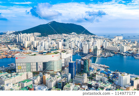 從釜山塔看南浦洞和影島 從釜山塔看南浦洞和影島 114977177