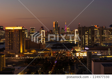 東京夜景 從電信中心展望室看到的夜景 東京夜景 從電信中心展望室看到的夜景 114977330