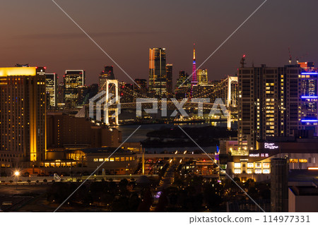 Tokyo night view: Night view from the Telecom Center observation deck 114977331