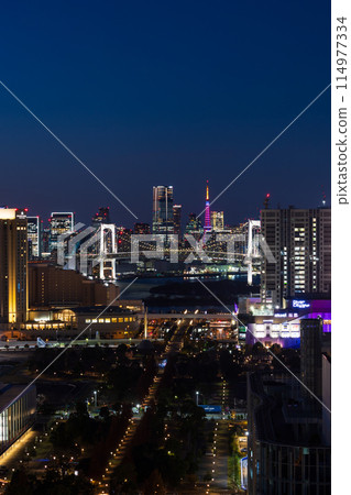 東京夜景 從電信中心展望室看到的夜景 114977334