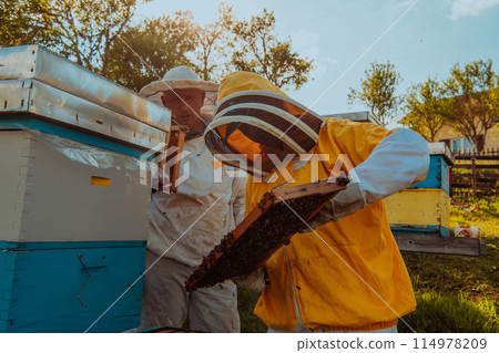 Beekeepers checking honey on the beehive frame in the field. Small business owners on apiary. Natural healthy food produceris working with bees and beehives on the apiary. 114978209