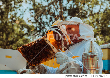 Beekeepers checking honey on the beehive frame in the field. Small business owners on apiary. Natural healthy food produceris working with bees and beehives on the apiary. Beekeepers checking honey on the beehive frame in the field. Small business owners on apiary. Natural healthy food produceris working with bees and beehives on the apiary. 114978216