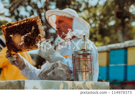 Beekeeper checking honey on the beehive frame in the field. Beekeeper on apiary. Beekeeper is working with bees and beehives on the apiary. Beekeeper checking honey on the beehive frame in the field. Beekeeper on apiary. Beekeeper is working with bees and beehives on the apiary. 114978373