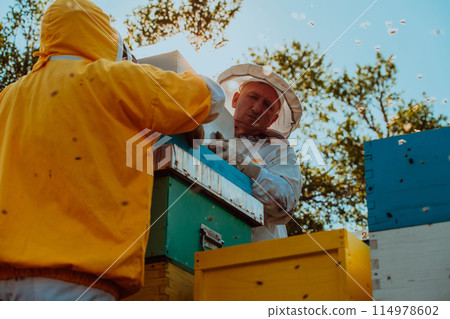 Beekeepers checking honey on the beehive frame in the field. Small business owners on apiary. Natural healthy food produceris working with bees and beehives on the apiary. 114978602