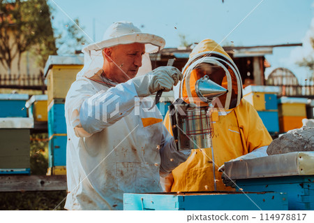 Beekeepers checking honey on the beehive frame in the field. Small business owners on apiary. Natural healthy food produceris working with bees and beehives on the apiary. 114978817