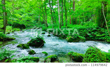 Oirase流 Oirase流 114979642