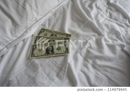 枕頭小費 整理床小費 美元 枕頭小費 整理床小費 美元 114979945