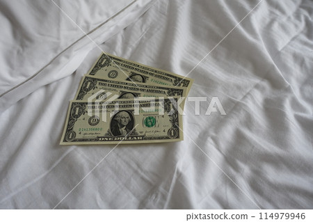 Pillow tip Bed making tip Dollar 114979946