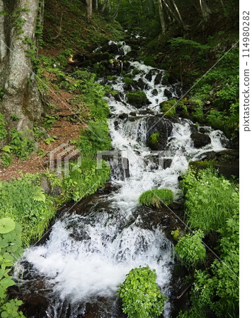 Tsuyoshimizu Falls 1 114980282