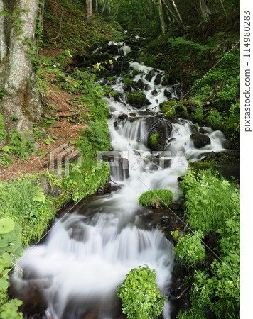 Tsuyoshimizu Falls 2 114980283