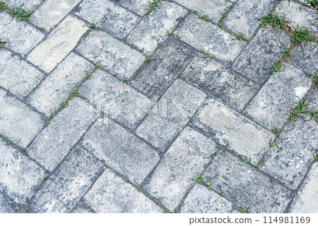 老塊籬芭 老塊籬芭 114981169