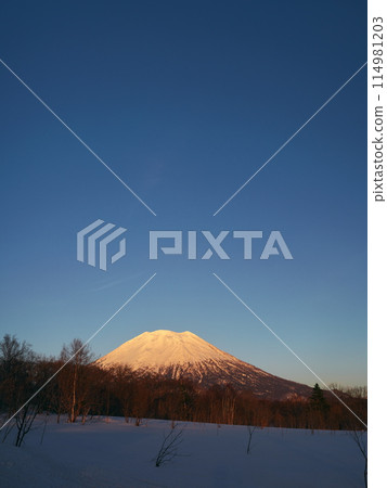 冬天的北海道,從羊蹄山西側眺望夕陽下的羊蹄山 冬天的北海道,從羊蹄山西側眺望夕陽下的羊蹄山 114981203
