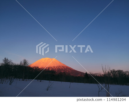 冬天的北海道,從羊蹄山西側眺望夕陽下的羊蹄山 冬天的北海道,從羊蹄山西側眺望夕陽下的羊蹄山 114981204