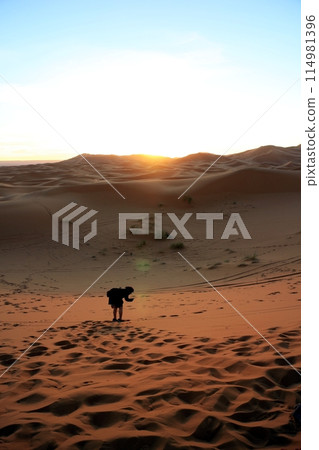 一個女人在清晨獨自站在沙漠中 114981396