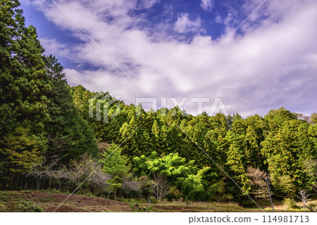 Landscape in late autumn Landscape in late autumn 114981713