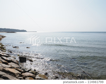 Calm Sea (2) [Taganohama Beach, Awaji City, Hyogo Prefecture] 114981799