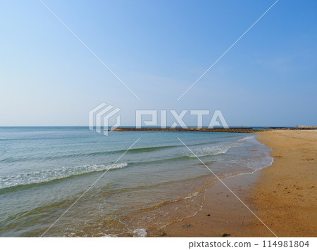 Calm Sea (3) [Taganohama Beach, Awaji City, Hyogo Prefecture] 114981804