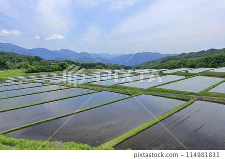 May rice terraces at Otsukue 1 May rice terraces at Otsukue 1 114981831