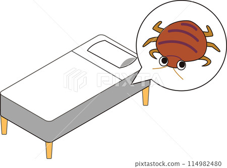 Bedbugs in your bed 114982480