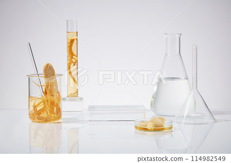 Glassware in experiment with ginseng over white background, an empty podium placed between an erlenmeyer and a measuring cylinder, a petri dish with yellow liquid and ginseng slices placed in front Glassware in experiment with ginseng over white background, an empty podium placed between an erlenmeyer and a measuring cylinder, a petri dish with yellow liquid and ginseng slices placed in front 114982549