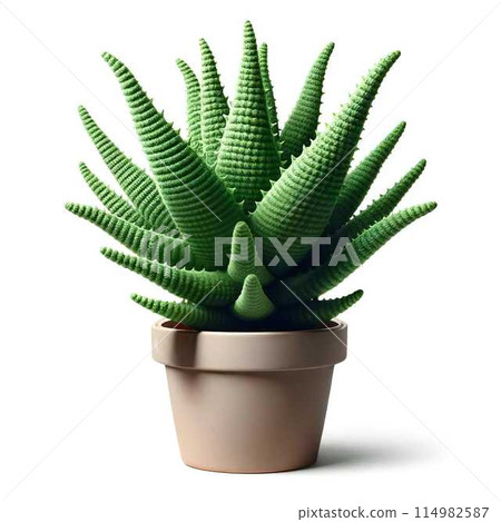 簡約時尚的蘆薈盆栽、針織、阿米古魯米 114982587