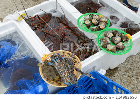 Freshly caught seafood, spiny lobsters, crabs, and turban shells on display at the market 114982650