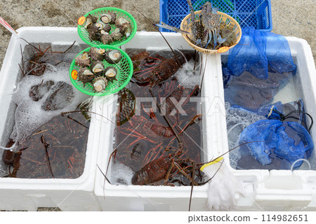 Freshly caught seafood, spiny lobsters, crabs, and turban shells on display at the market 114982651