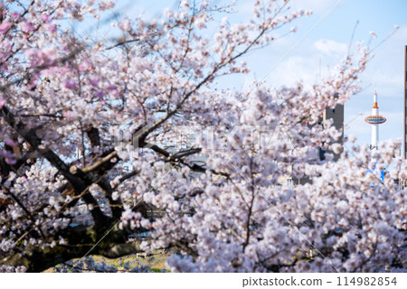 春天的東山區 春天的東山區 114982854