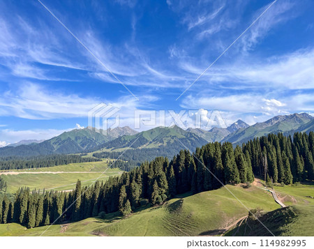 Alpine Summer Bliss 114982995