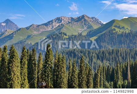 Verdant Mountain Majesty 114982998