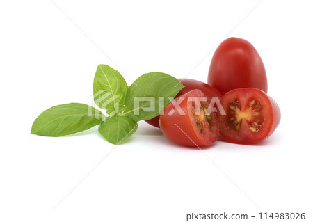 Fresh Roma tomatoes and basil leaves isolated on a white background Fresh Roma tomatoes and basil leaves isolated on a white background 114983026