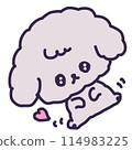 Illustration of a cute toy poodle puppy lying on its back with watery eyes 114983225