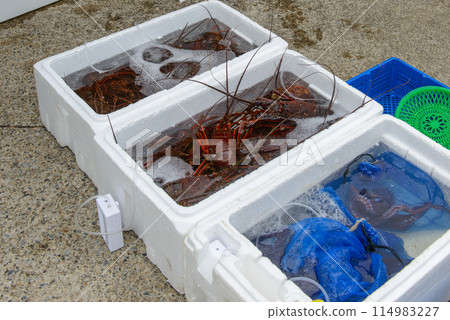 Freshly caught spiny lobsters and octopus lined up in the market 114983227