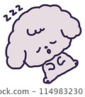 Illustration of a cute toy poodle puppy sleeping on its back 114983230
