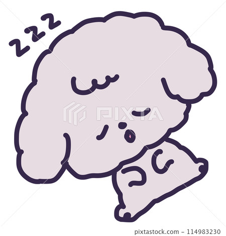 一隻可愛的玩具貴賓犬睡在肚臍上的插圖 114983230
