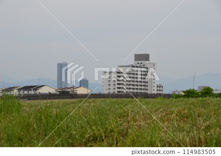 初夏的淺川,八王子市 初夏的淺川,八王子市 114983505