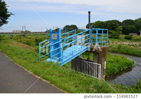 初夏的淺川,八王子市 初夏的淺川,八王子市 114983527