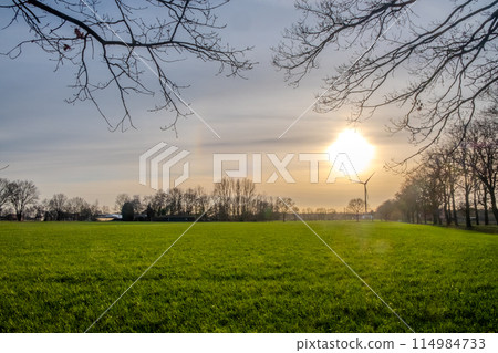 Dawn Radiance Over a Lush Green Meadow 114984733