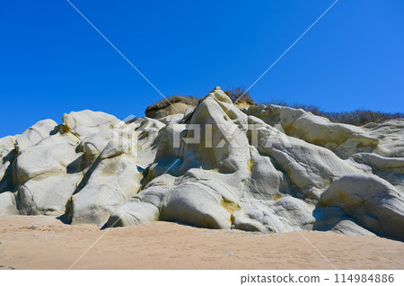 加賀市交野海岸長者宅邸遺址 114984886