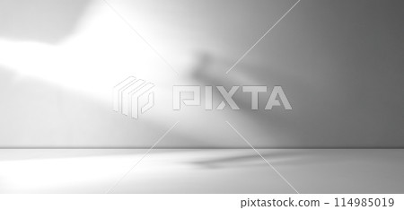 Shadow Background Floor Wall Backdrop Grey Cement Abstract Loft Scene Light white Studio Room Product Gradient Sunlight Window Marble Mockup Loft Minimal Stage Podium Presentation Interior Empty. Shadow Background Floor Wall Backdrop Grey Cement Abstract Loft Scene Light white Studio Room Product Gradient Sunlight Window Marble Mockup Loft Minimal Stage Podium Presentation Interior Empty. 114985019