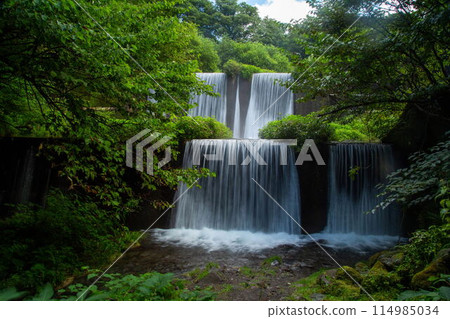 Kiyazawa山流的新綠 Kiyazawa山流的新綠 114985034