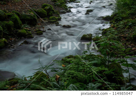 Kiyazawa山流的新綠 Kiyazawa山流的新綠 114985047