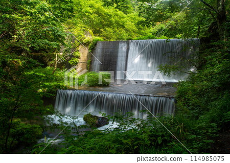 Kiyazawa山流的新綠 114985075