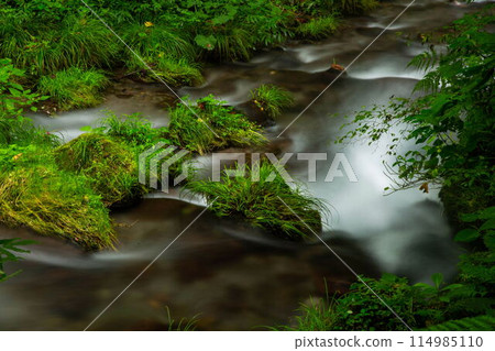 Fresh green of the Kiyazawa mountain stream Fresh green of the Kiyazawa mountain stream 114985110