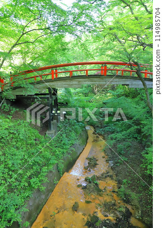 伊香保溫泉湯本附近的“河鹿橋” 伊香保溫泉湯本附近的“河鹿橋” 114985704