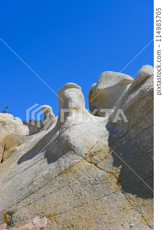 長者宅邸遺址、奇怪的岩層、加賀市交野海岸 114985705