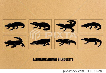 Crocodile and alligator silhouette set, Alligator straight tail silhouette Crocodile and alligator silhouette set, Alligator straight tail silhouette 114986289