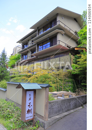 伊香保溫泉的“禦宿玉木” 伊香保溫泉的“禦宿玉木” 114986934