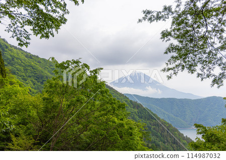 從半山腰看到的西湖和富士山 114987032